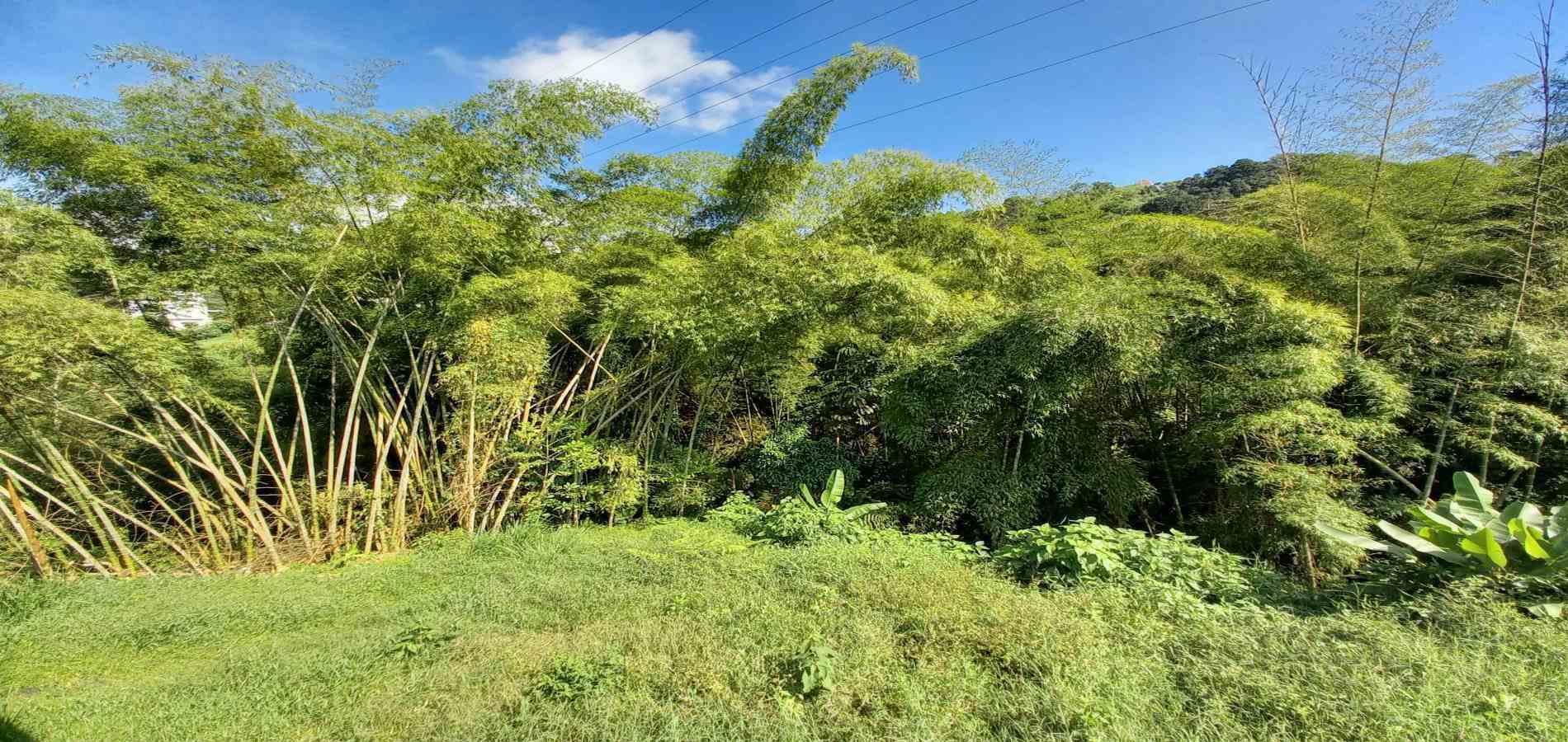 Foto de Apartamento en Arriendo en El rosario, Manizales - 6 - 279062610