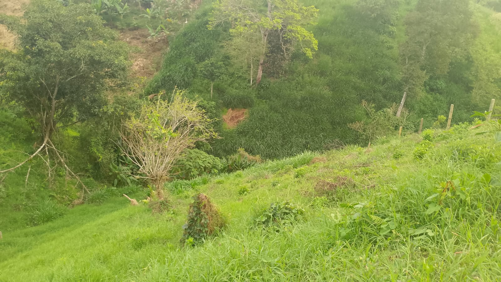 Foto de Lote / terreno en Venta en Filandia, Filandia - 16 - 279066842