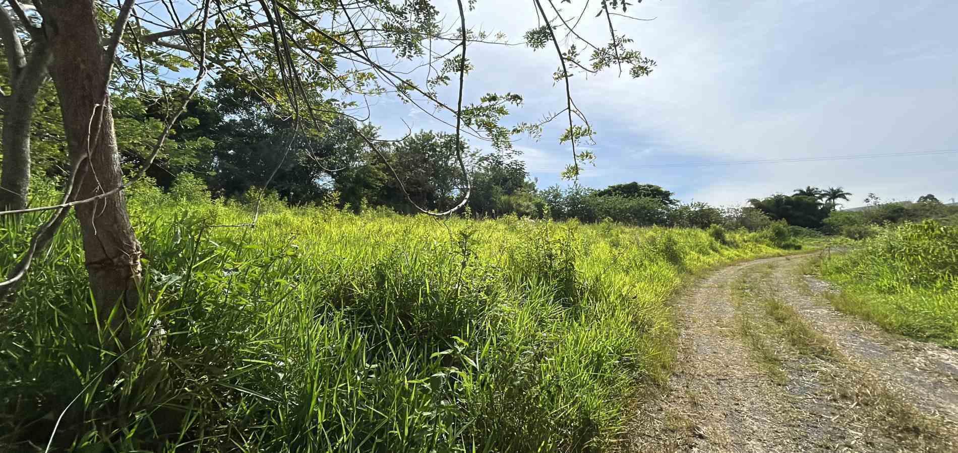 Foto de Lote / terreno en Venta en Cerritos, Pereira - 10 - 279068089