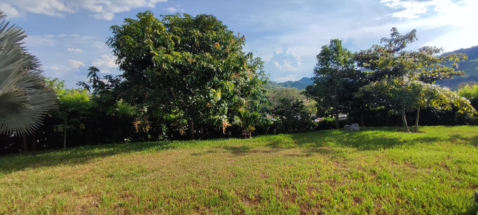 Foto de Casa campestre en Venta en Palermo, Neira - 10 - 279063969