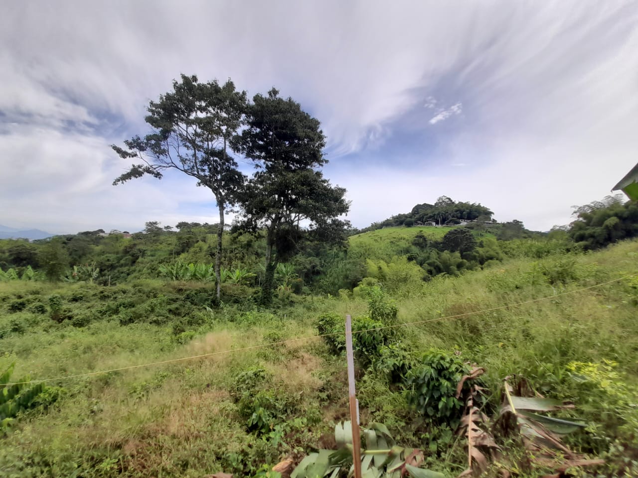Foto de Lote / terreno en Venta en Arabia, Pereira - 18 - 279059189