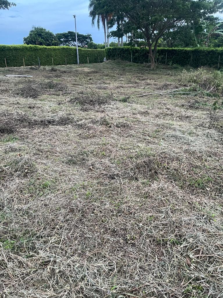 Foto de Lote / terreno en Venta en Cerritos, Pereira - 5 - 279063945