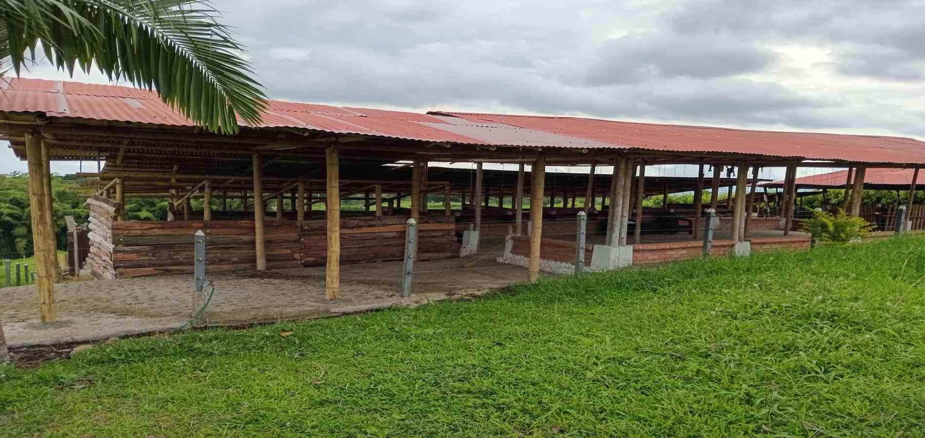 Foto de Finca en Venta en A dos cuadras del parque, Circasia - 10 - 279056832