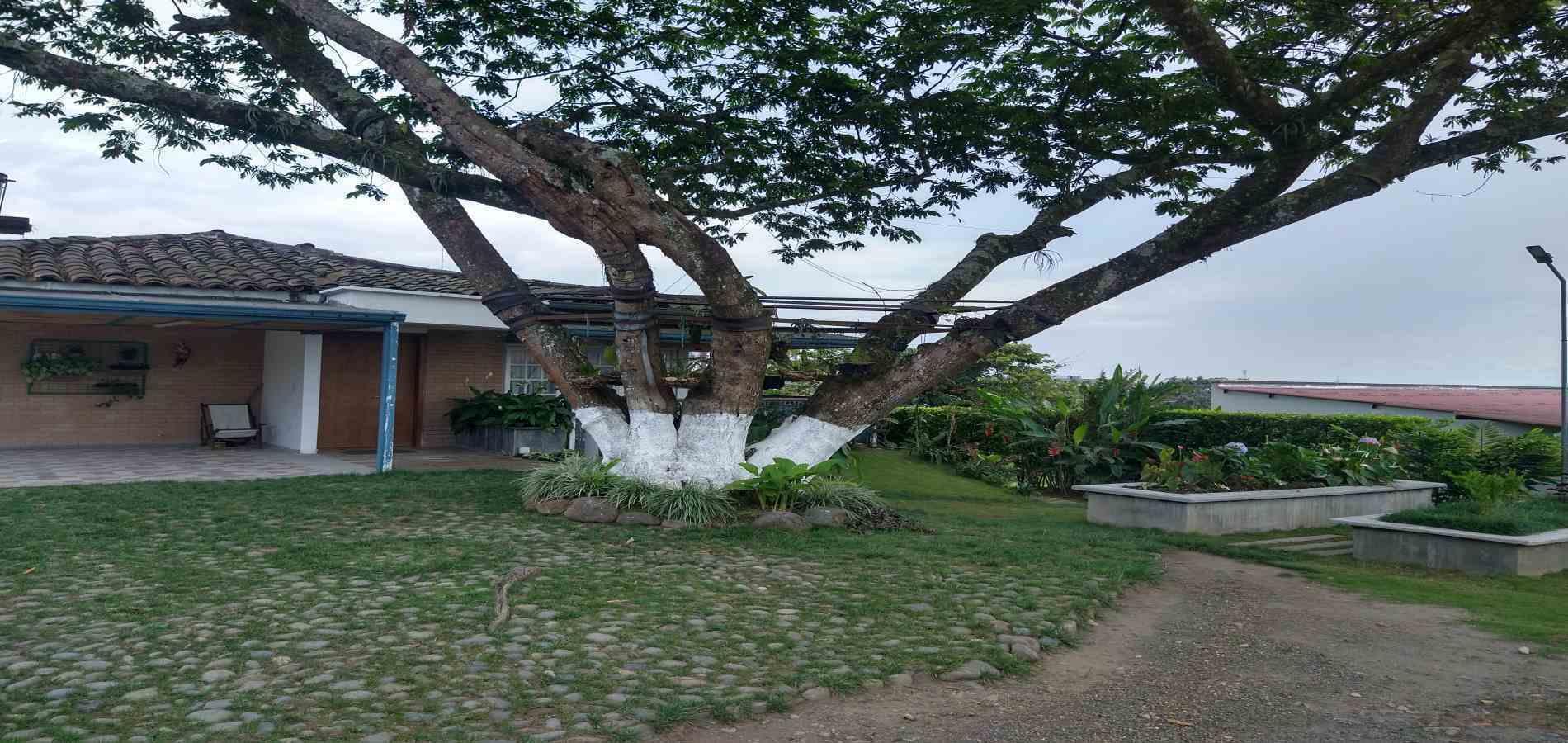 Foto de Casa campestre en Venta en La pradera, Dosquebradas - 6 - 279052603