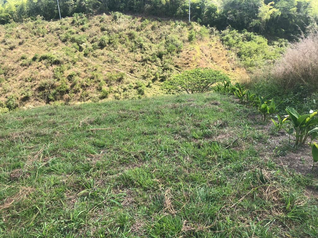 Foto de Lote / terreno en Venta en Cerritos, Pereira - 5 - 279055622