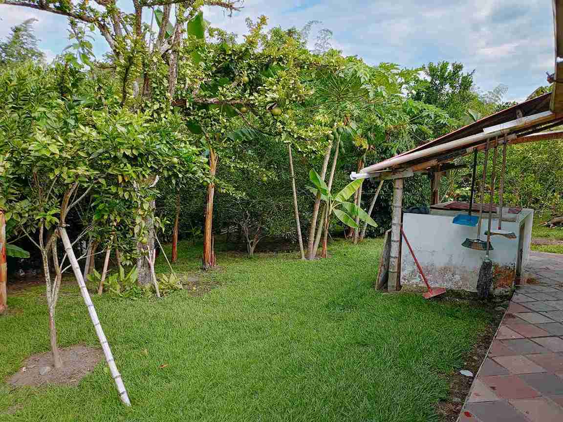 Foto de Casa campestre en Venta en Kilometro 41, Manizales - 6 - 279057741