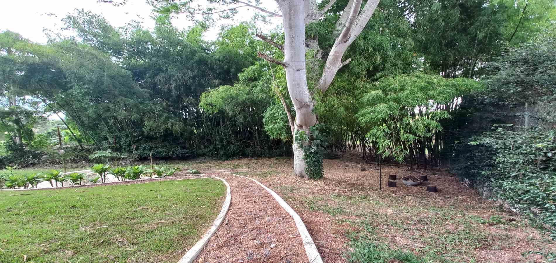 Foto de Casa en Arriendo en Cerritos, Pereira - 7 - 279069888