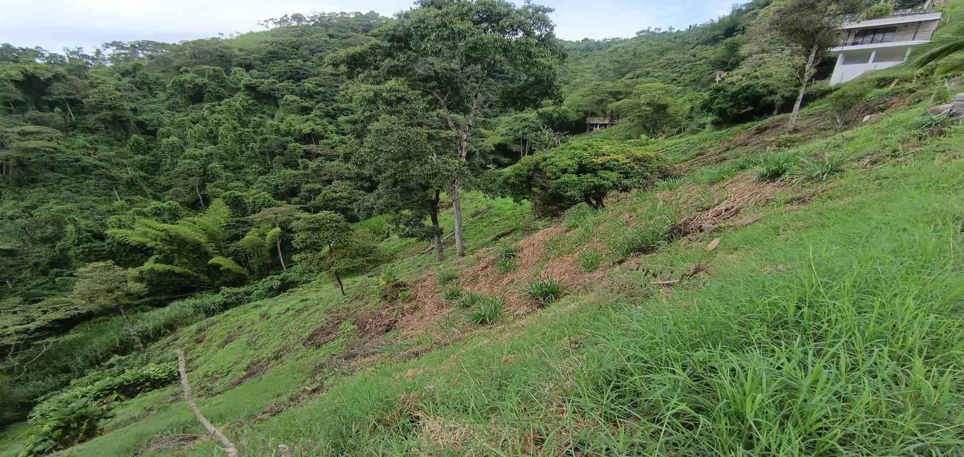 Foto de Lote / terreno en Venta en Vereda minitas , Manizales - 6 - 279068548