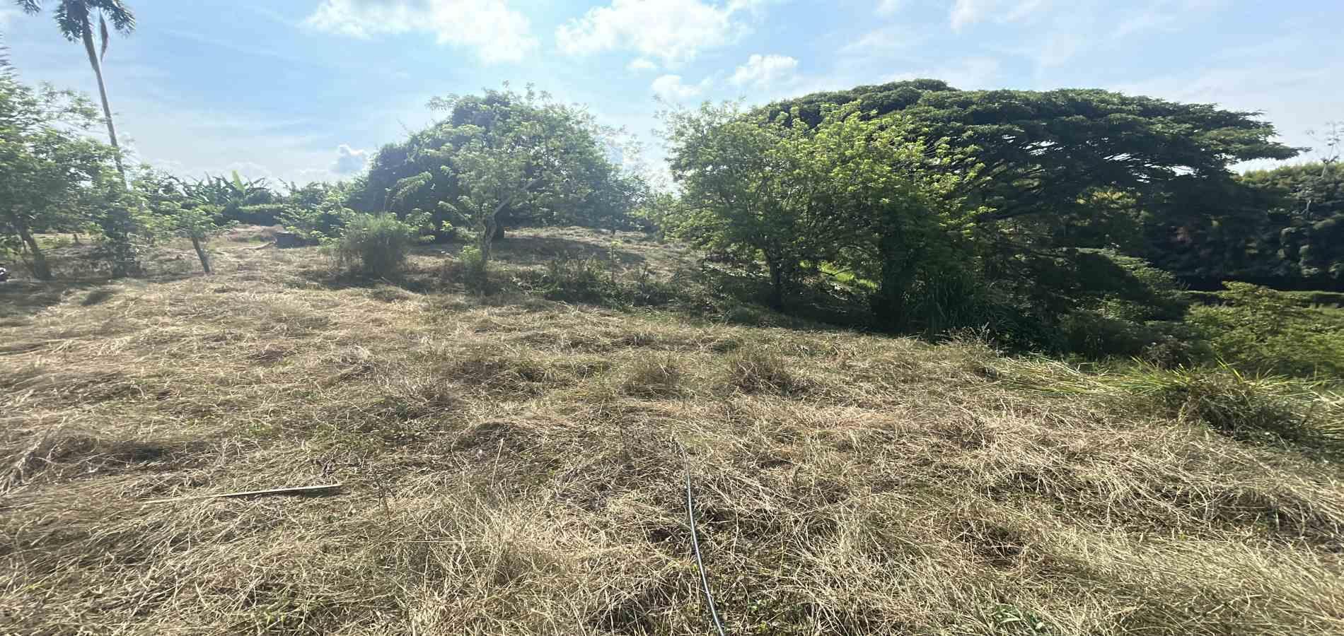 Foto de Lote / terreno en Venta en Via alcala, Pereira - 3 - 279066755