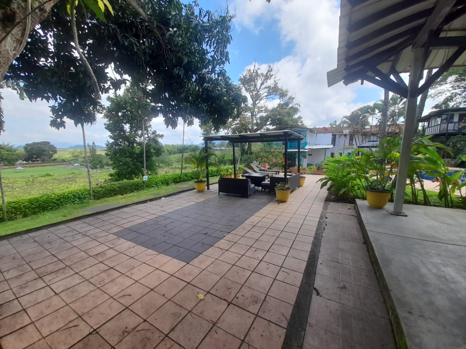 Foto de Edificio en Venta en Cerritos / sector el tigre, Pereira - 21 - 279055881