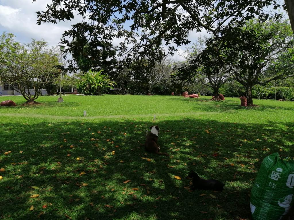 Foto de Lote / terreno en Venta en Cerritos, Pereira - 11 - 279025576