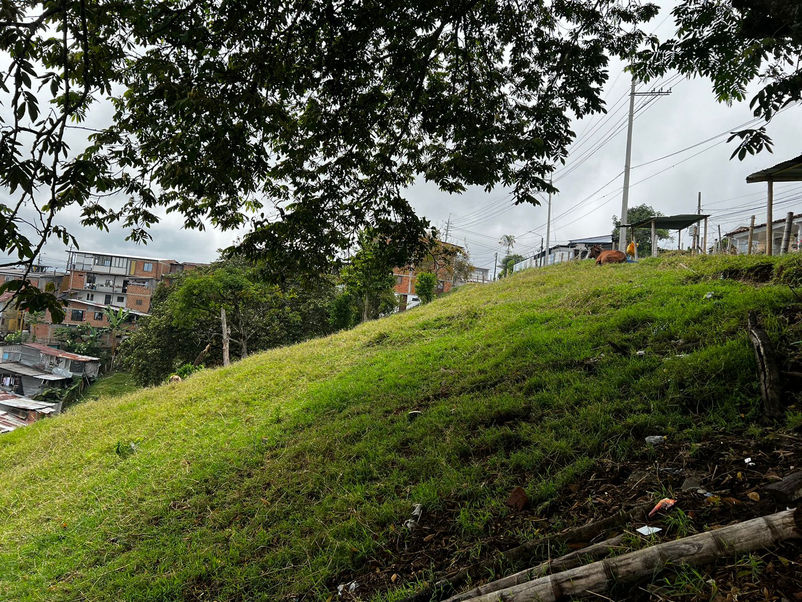 Foto de Lote / terreno para Venta en Altagracia, Pereira - 279056515
