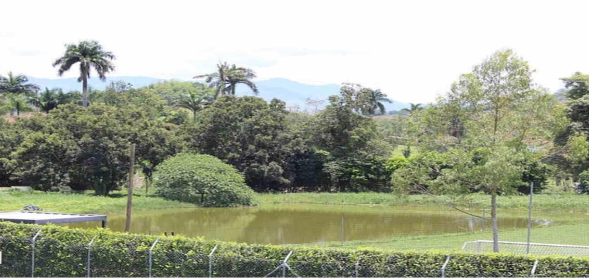 Foto de Lote / terreno en Venta en Vereda santagueda, Palestina - 9 - 279053622