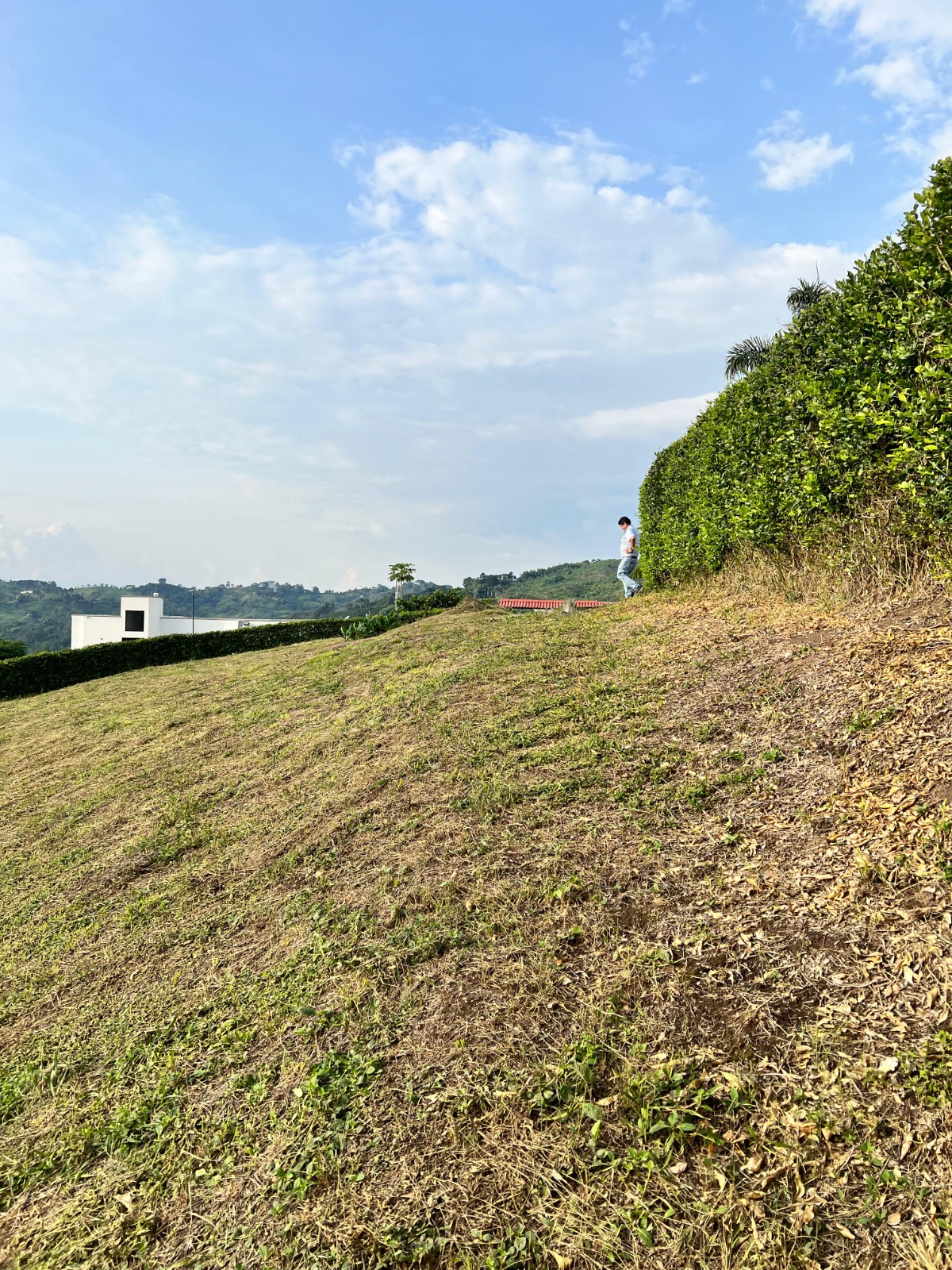 Foto de Lote / terreno en Venta en Vereda santagueda, Palestina - 8 - 279063662