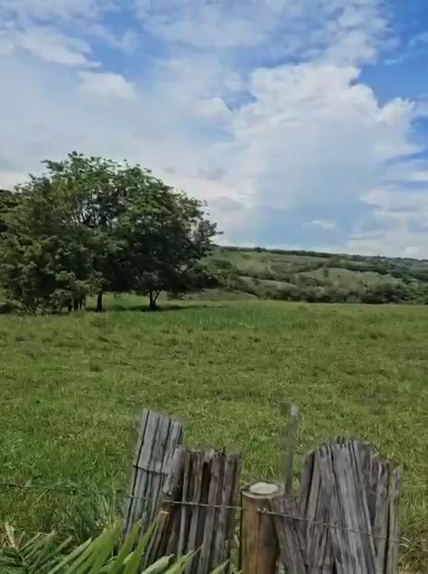 Foto de Lote / terreno para Venta en Cerritos, Pereira - 279062939