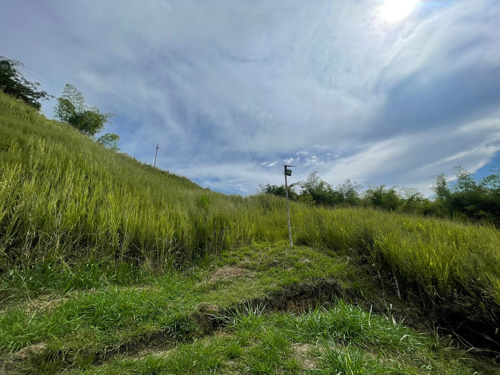 Foto de Lote / terreno para Venta en Cerritos, Pereira - 279058389