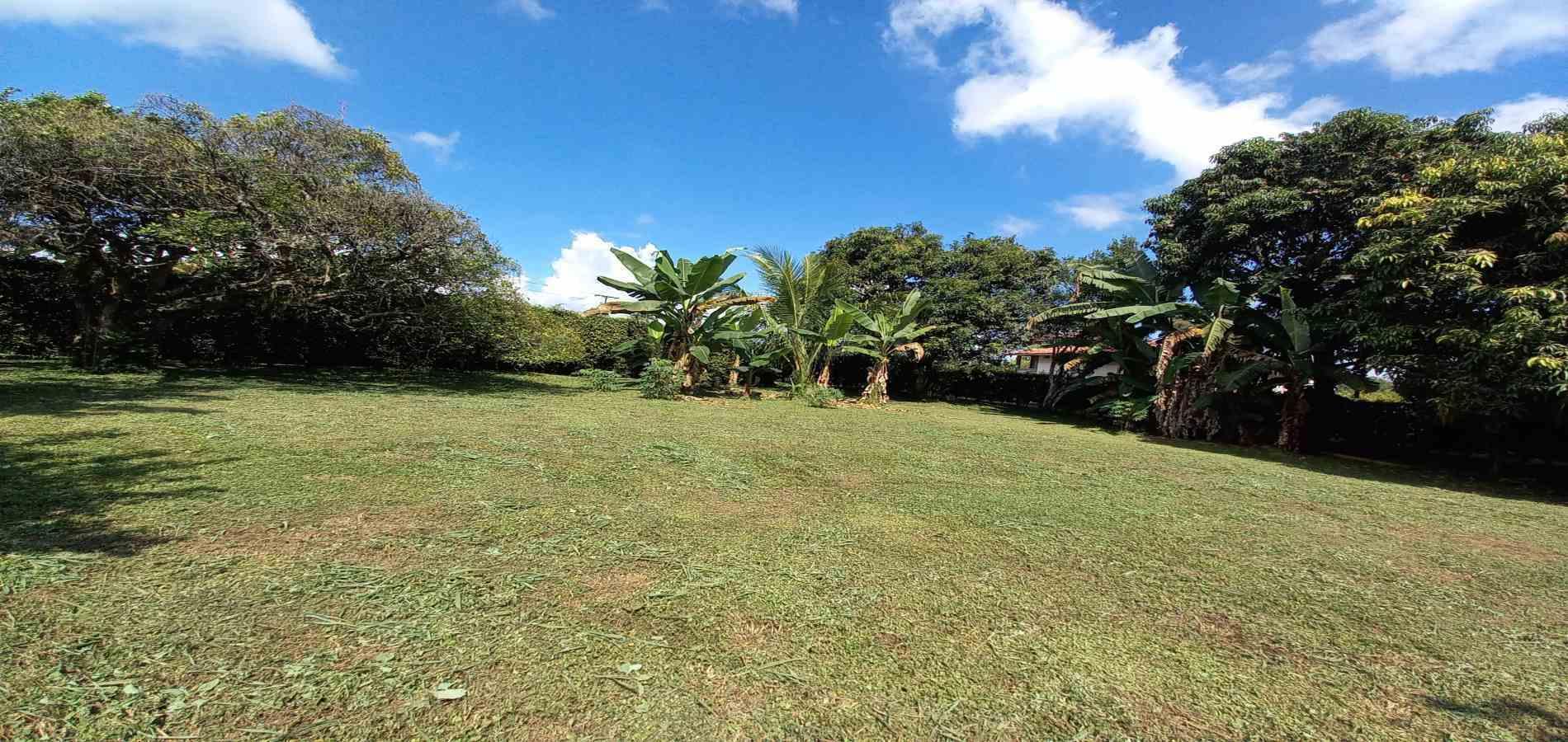 Foto de Lote / terreno en Venta en Vereda santagueda, Palestina - 30 - 279060420