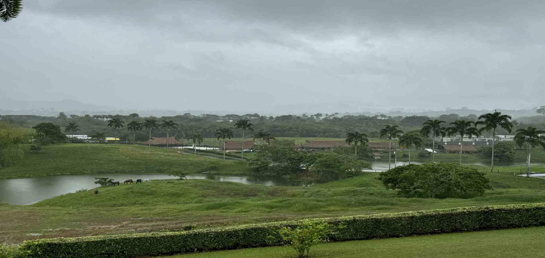 Foto de Lote / terreno en Venta en Cerritos, Pereira - 7 - 279059921