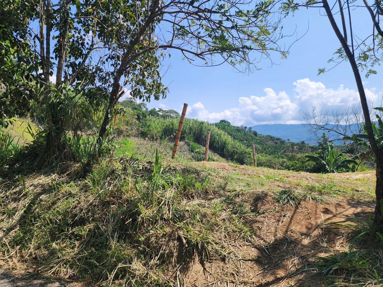 Foto de Finca en Venta en Barrio villa hermosa 2 y robelio suarez, Belen de umbria - 6 - 279056358