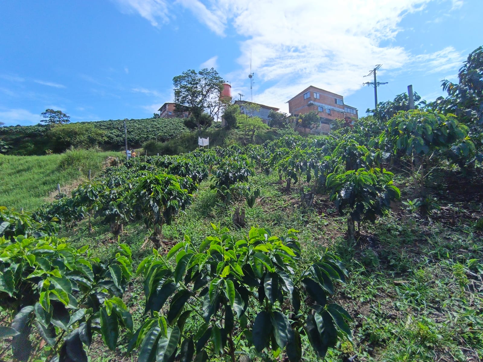 Foto de Lote / terreno en Venta en Las pavas, Manizales - 2 - 279067665