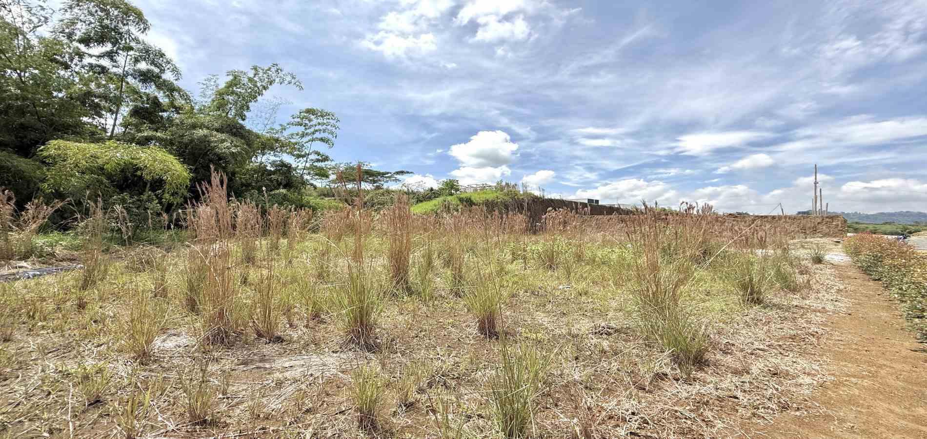 Foto de Lote / terreno para Venta en La pradera, Dosquebradas - 279061786