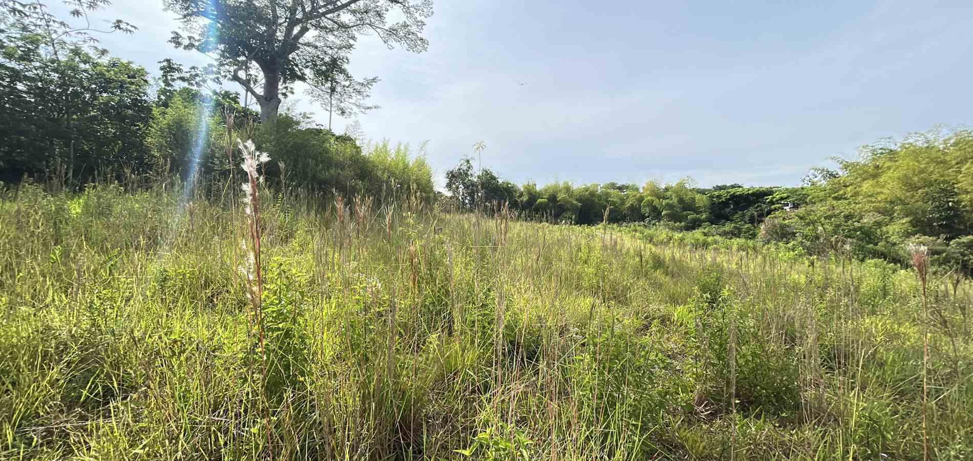 Foto de Lote / terreno en Venta en Cerritos, Pereira - 8 - 279068066