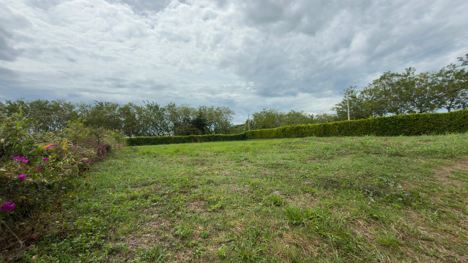Foto de Lote / terreno en Venta en Centro, Pereira - 1 - 279069765