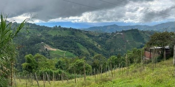 Foto de Lote / terreno para Venta en Bajo corinto, Neira - 24153