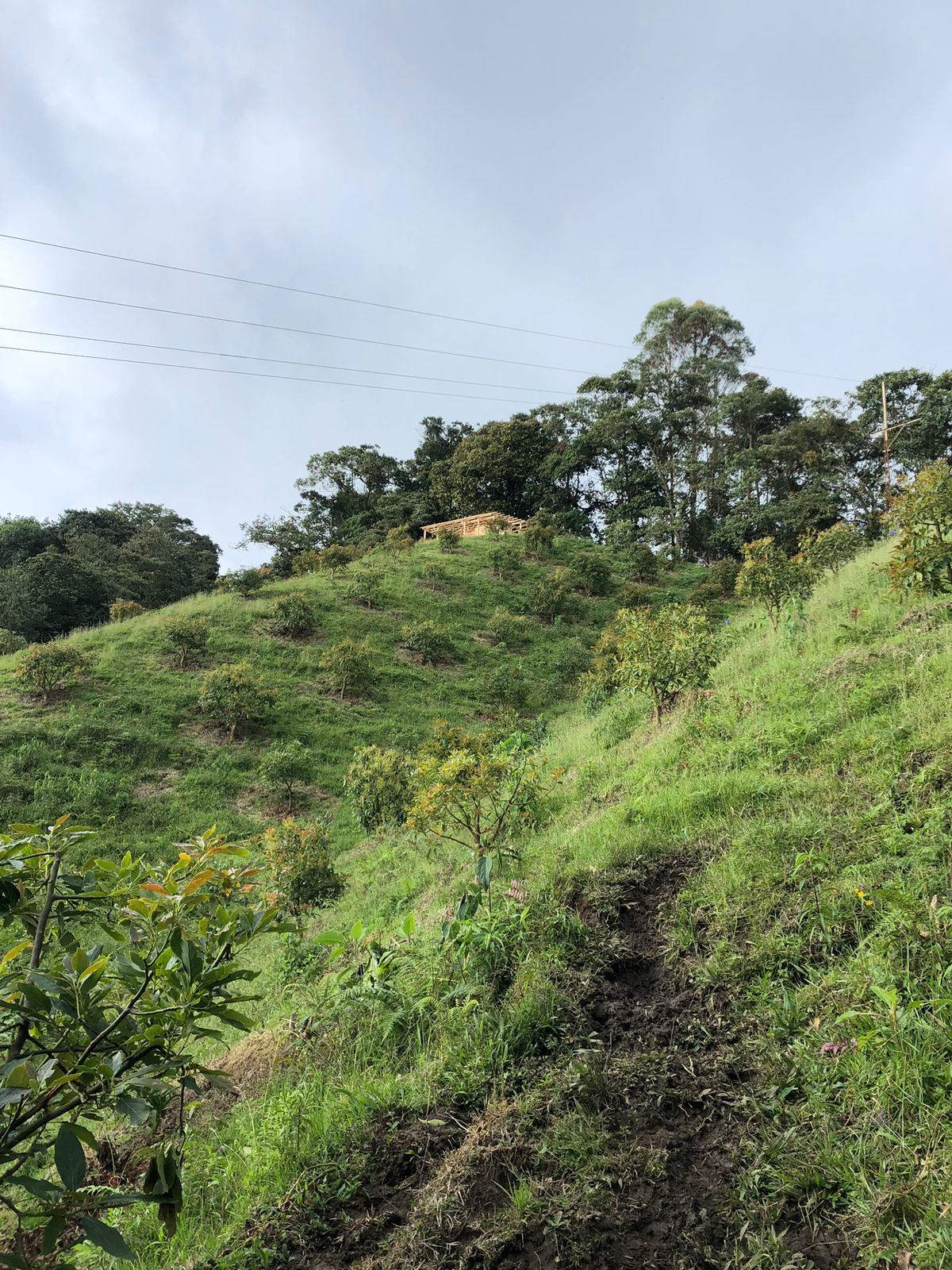 Foto de Lote / terreno para Venta en Llanitos, Villamaria - 279054085