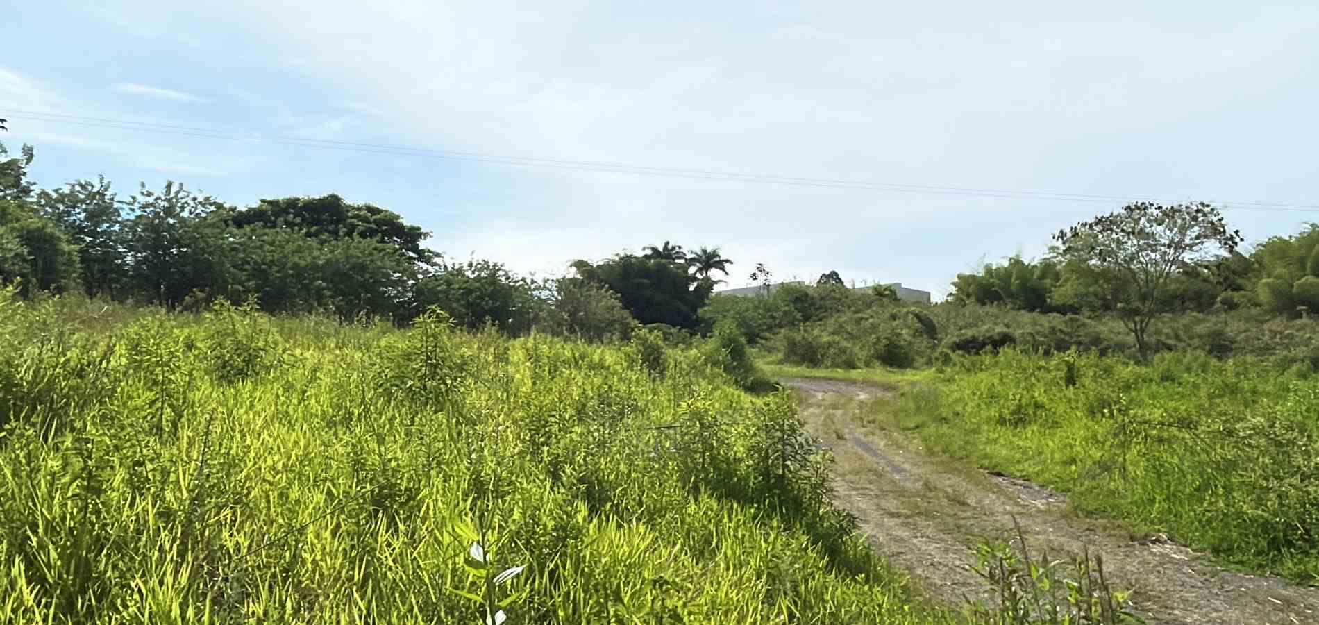 Foto de Lote / terreno en Venta en Cerritos, Pereira - 16 - 279068089
