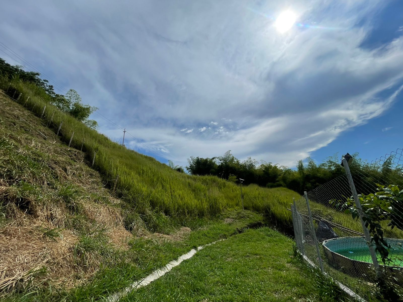 Foto de Lote / terreno en Venta en Cerritos, Pereira - 4 - 279058389