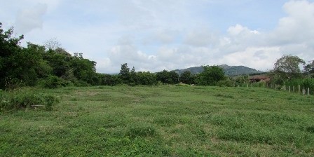 Foto de Lote / terreno para Venta en Vereda santagueda, Palestina - 27909649