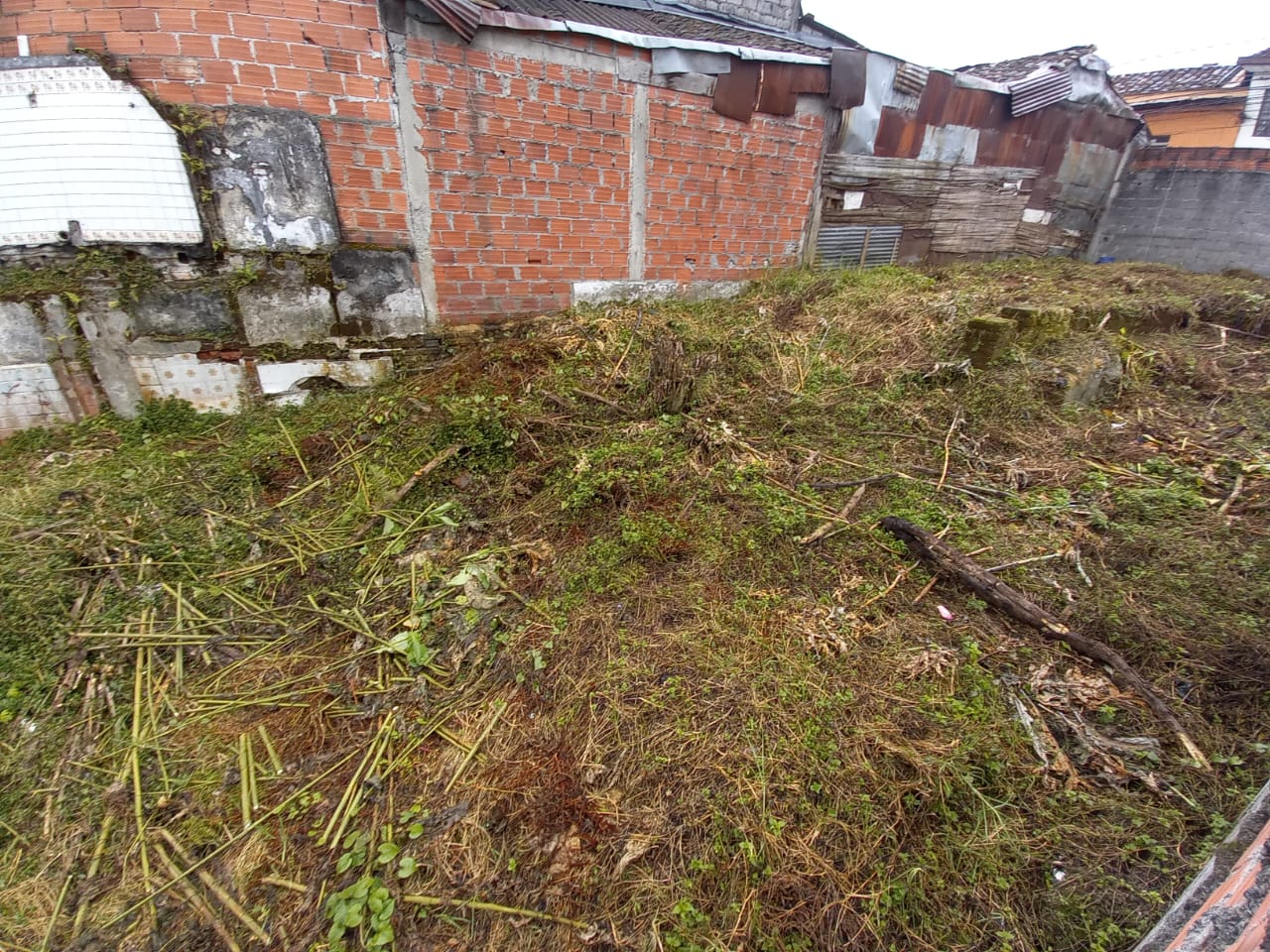 Foto de Lote / terreno en Venta en Los agustinos, Manizales - 4 - 53070