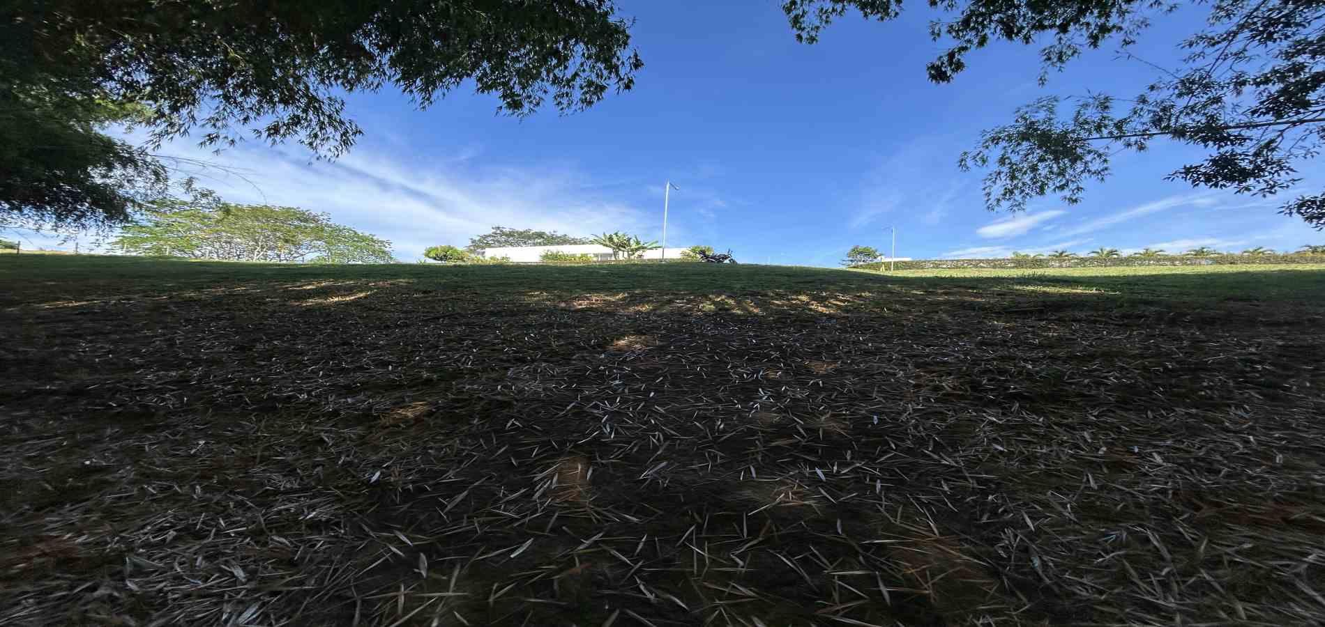 Foto de Lote / terreno en Venta en Cerritos, Pereira - 17 - 279069202