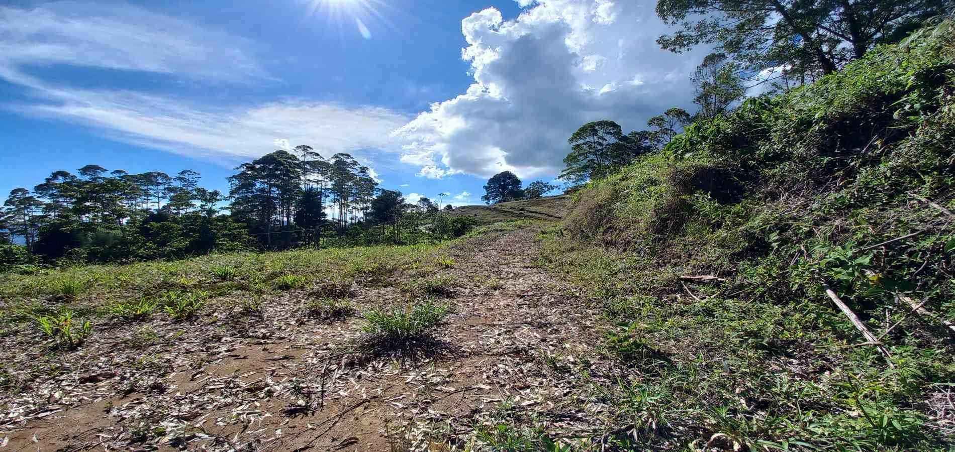 Foto de Lote / terreno en Venta en Otro, Dosquebradas - 6 - 279067985