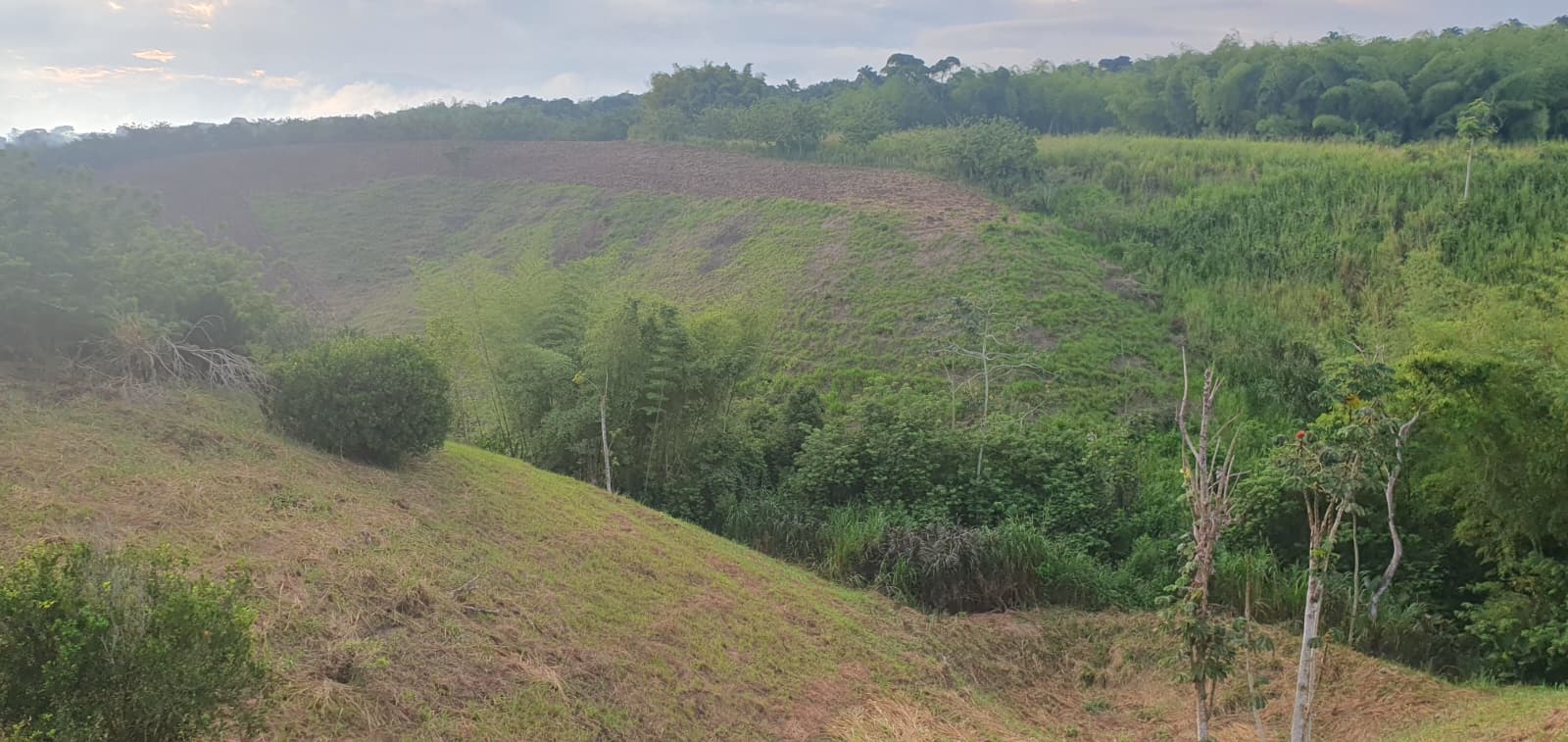 Foto de Lote / terreno para Venta en Cerritos, Pereira - 279068949