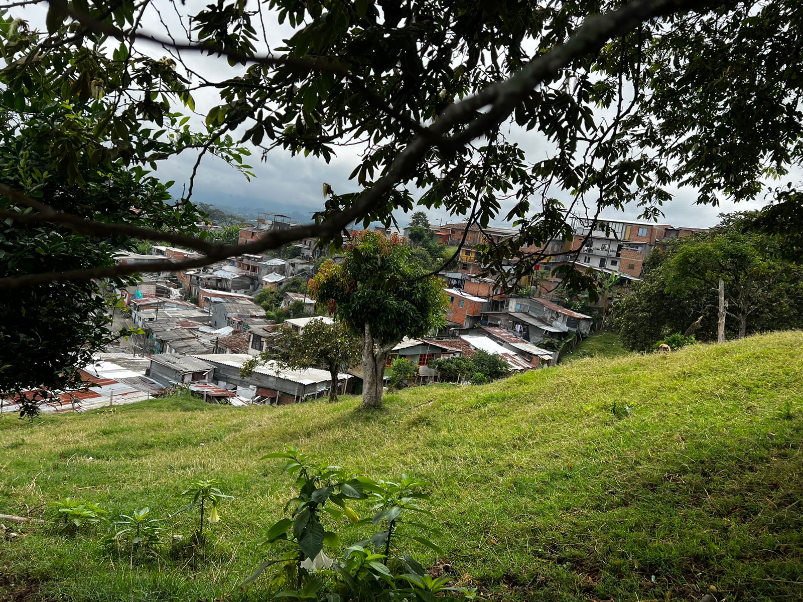 Foto de Lote / terreno en Venta en Altagracia, Pereira - 15 - 279056515