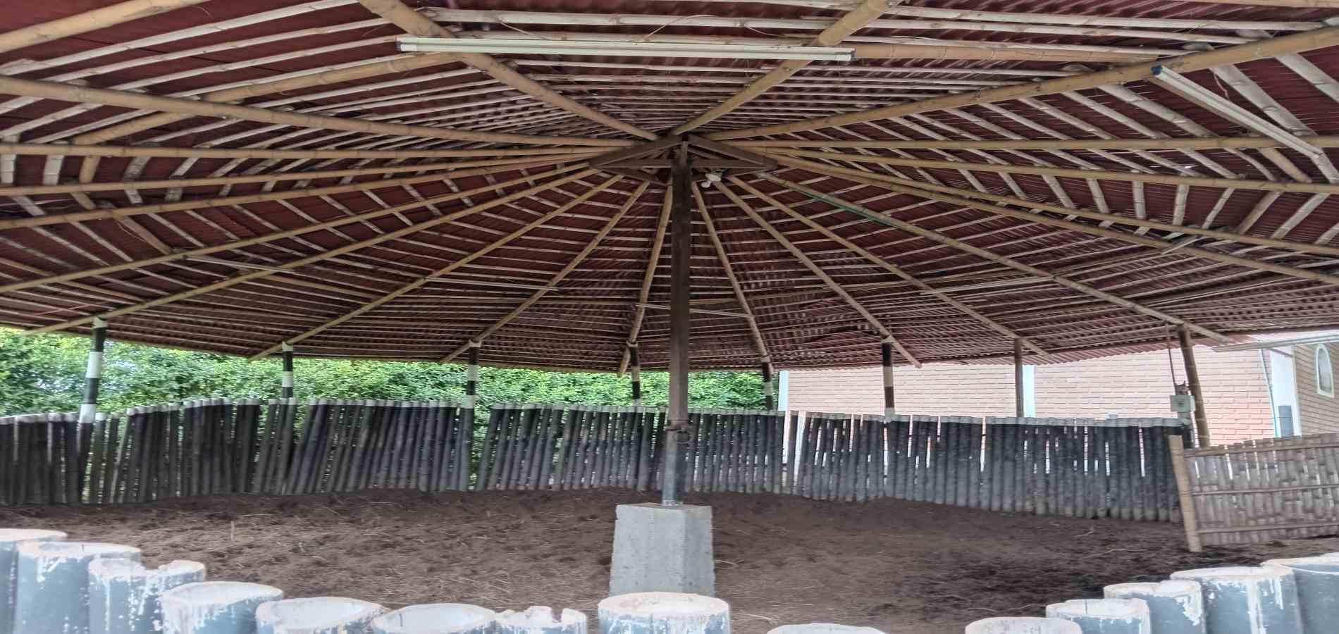 Foto de Finca en Venta en A dos cuadras del parque, Circasia - 3 - 279056832