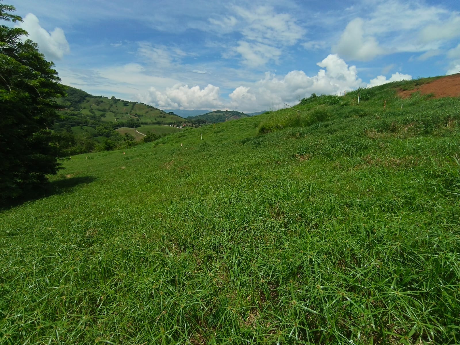 Foto de Lote / terreno en Venta en Vereda santagueda, Palestina - 1 - 279064627