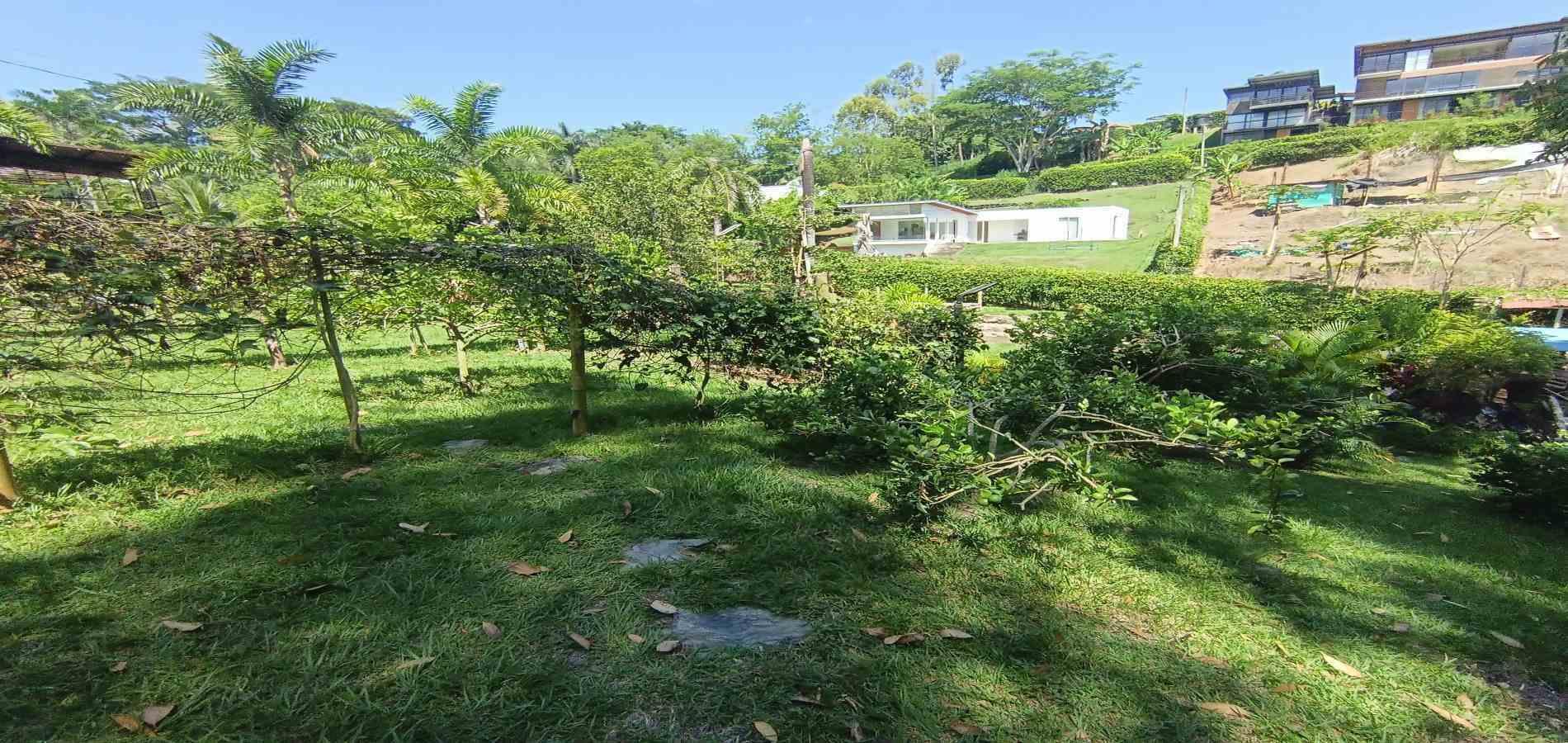 Foto de Lote / terreno en Venta en Vereda palermo, Neira - 4 - 279068279
