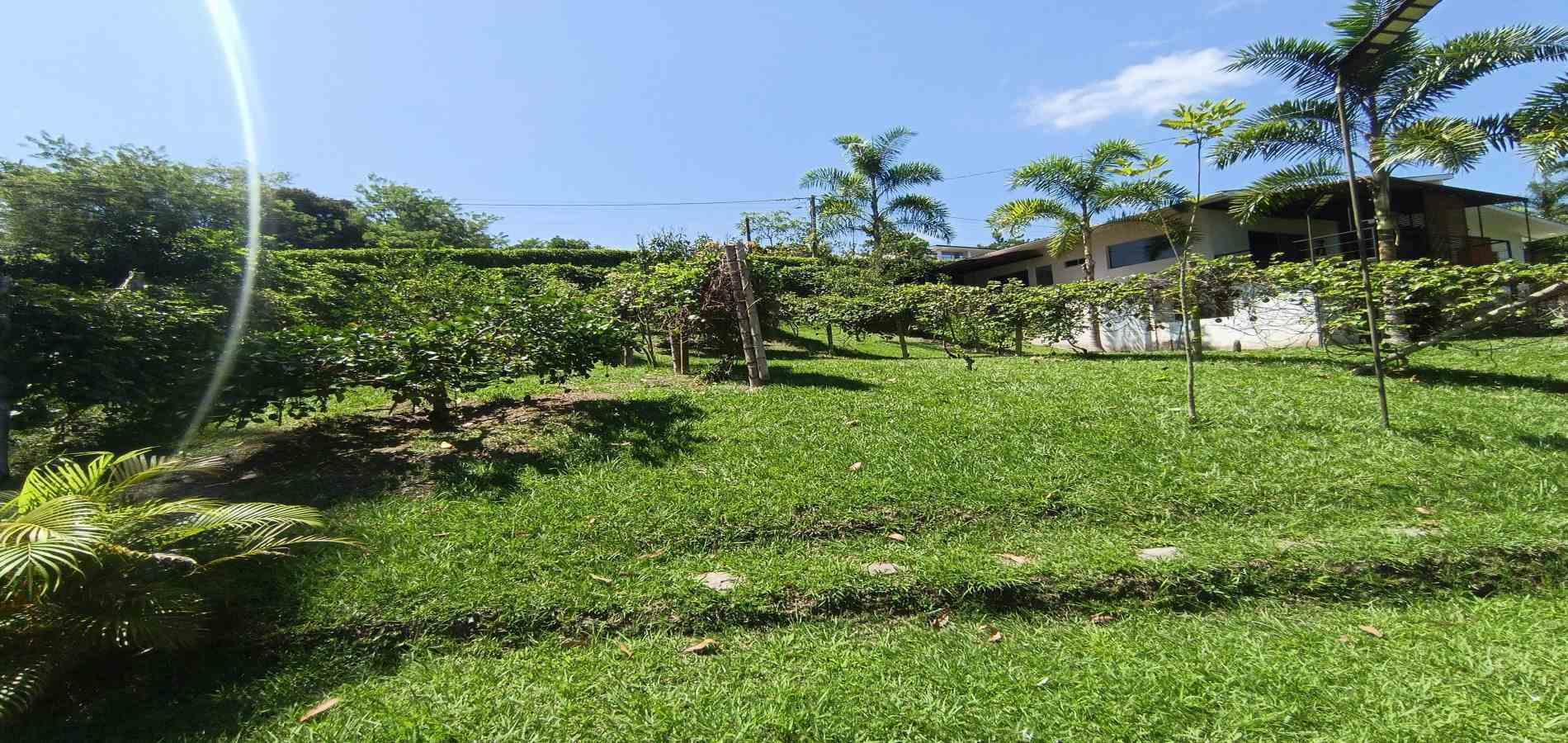 Foto de Lote / terreno en Venta en Vereda palermo, Neira - 21 - 279068279