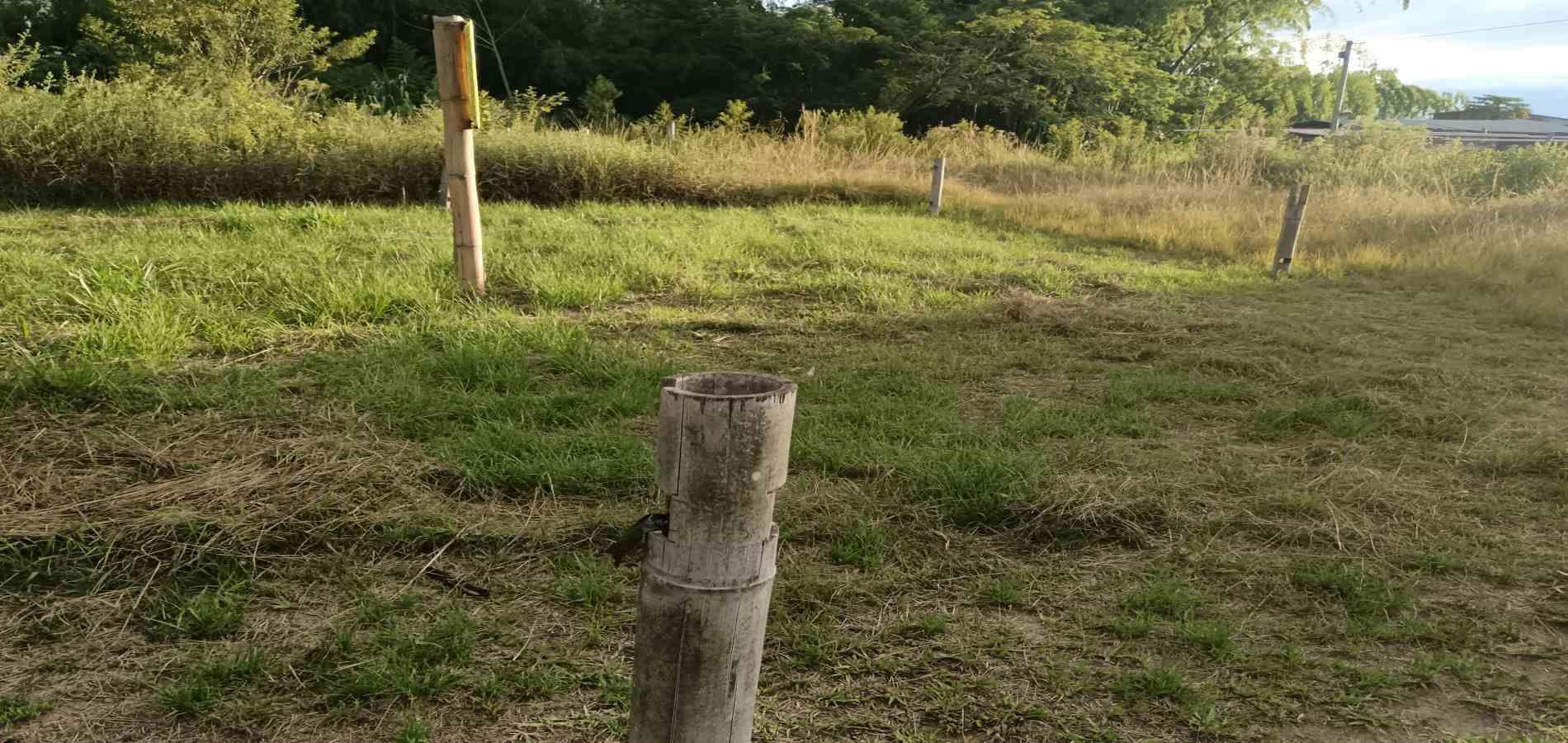 Foto de Lote / terreno en Venta en UrbanizaciÓn santana, Armenia  - 20 - 279059323
