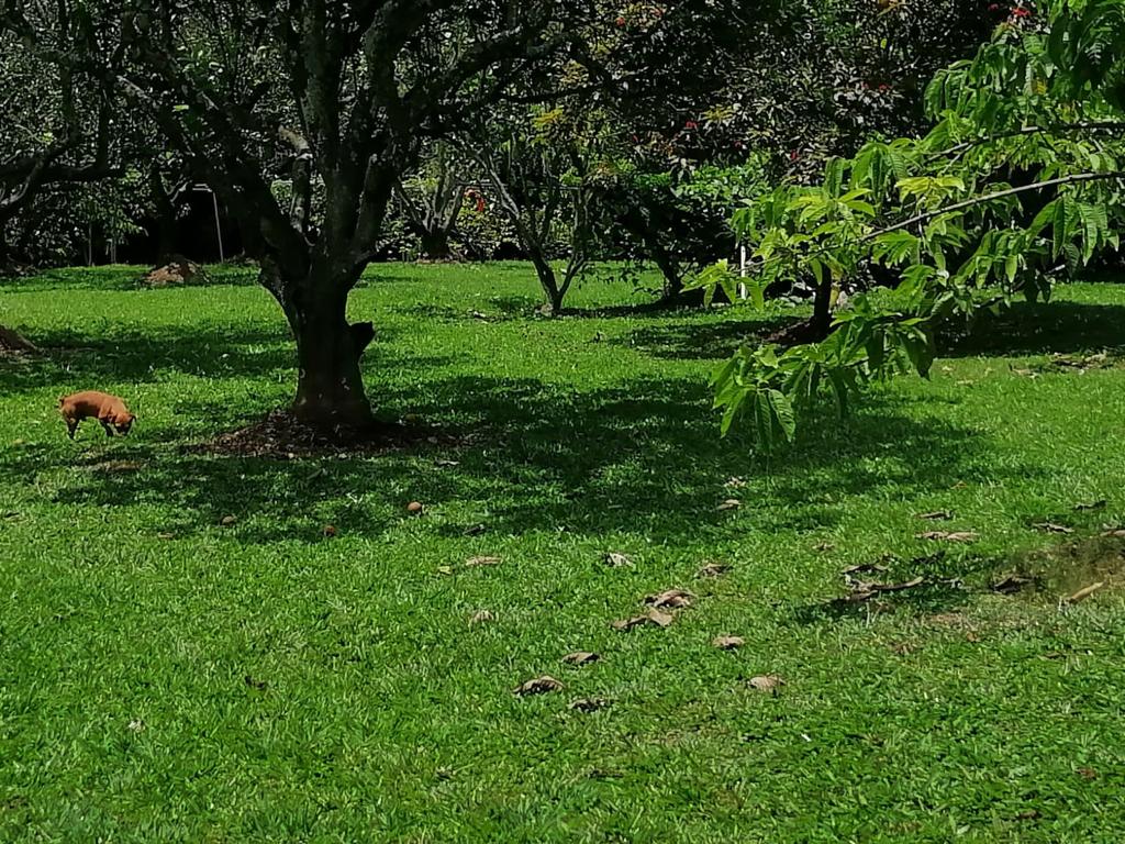 Foto de Lote / terreno en Venta en Cerritos, Pereira - 15 - 279025576