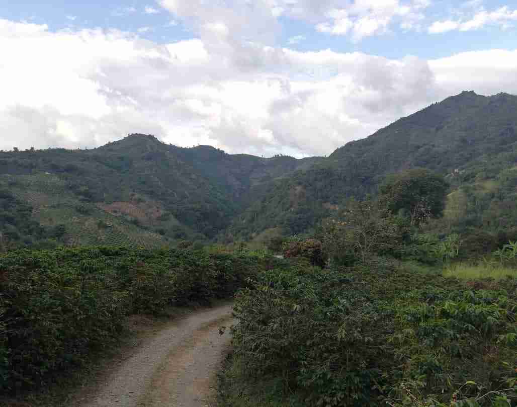 Foto de Lote / terreno en Venta en La cabaña, Manizales - 12 - 279020989