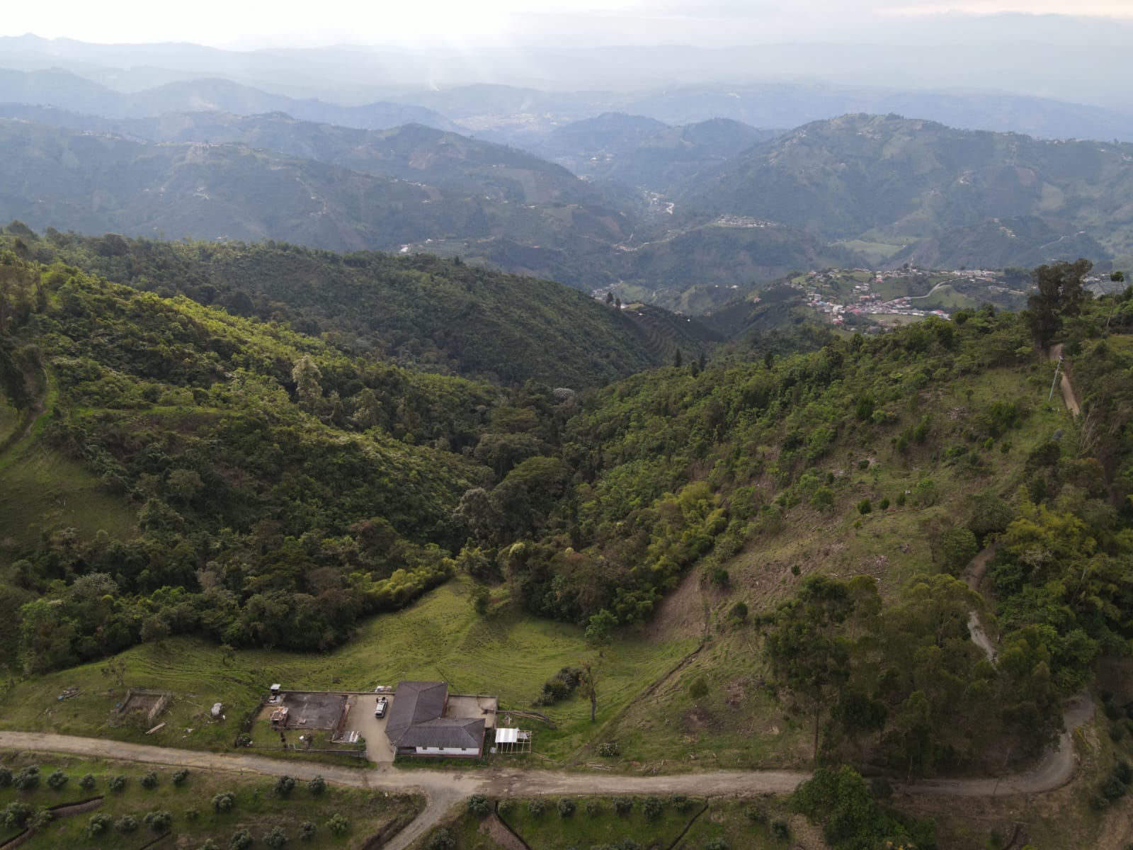 Foto de Finca en Venta en Alto castillo, Villamaria - 3 - 279066724
