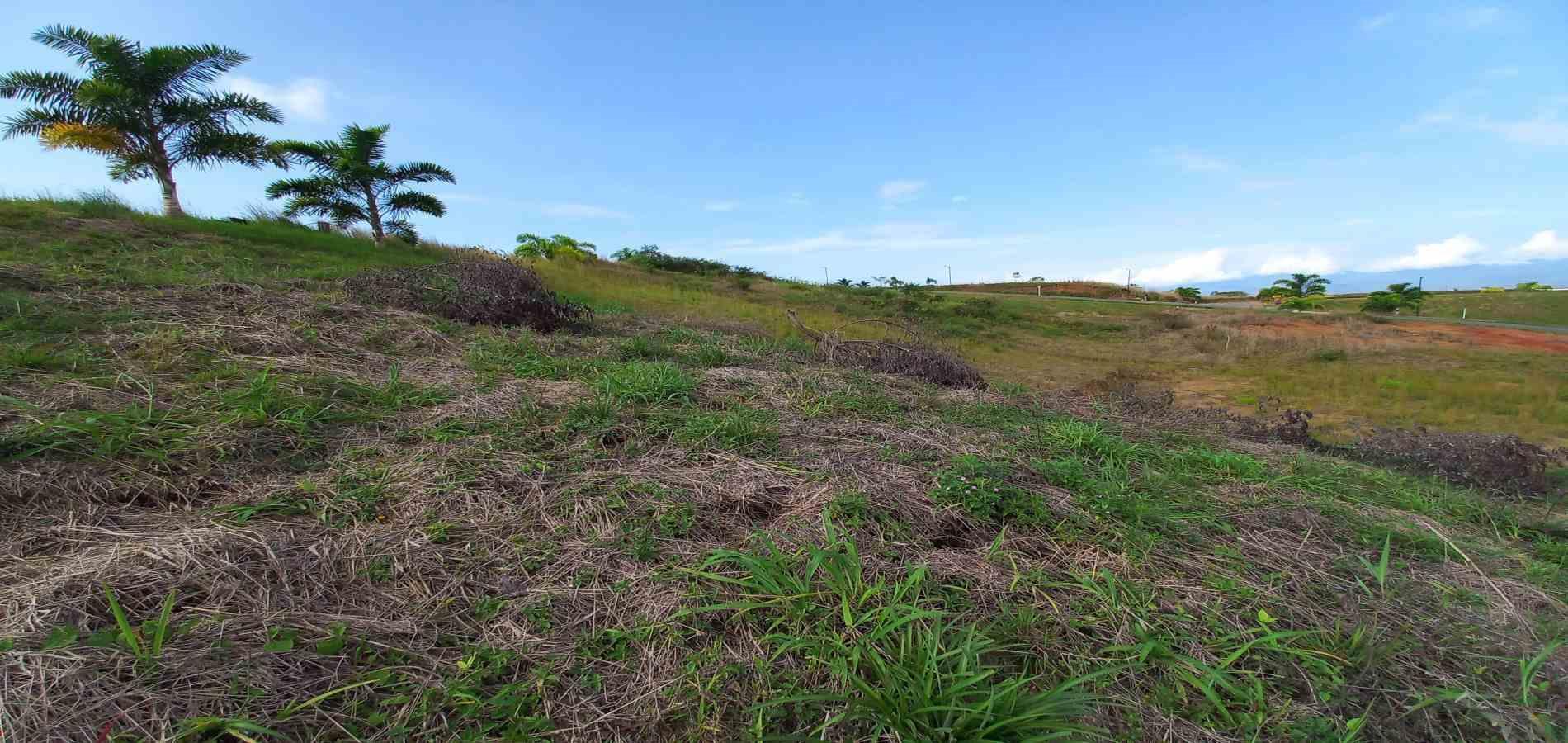Foto de Lote / terreno en Venta en Cerritos, Pereira - 11 - 279067405