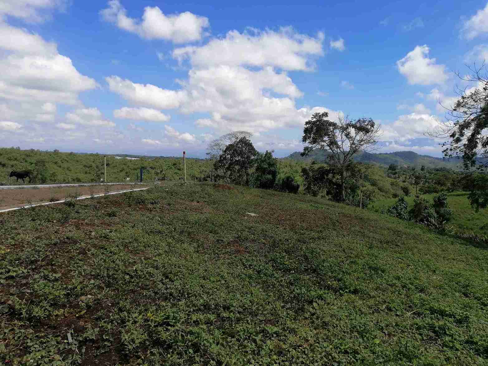Foto de Lote / terreno en Venta en Combia, Pereira - 6 - 279058096