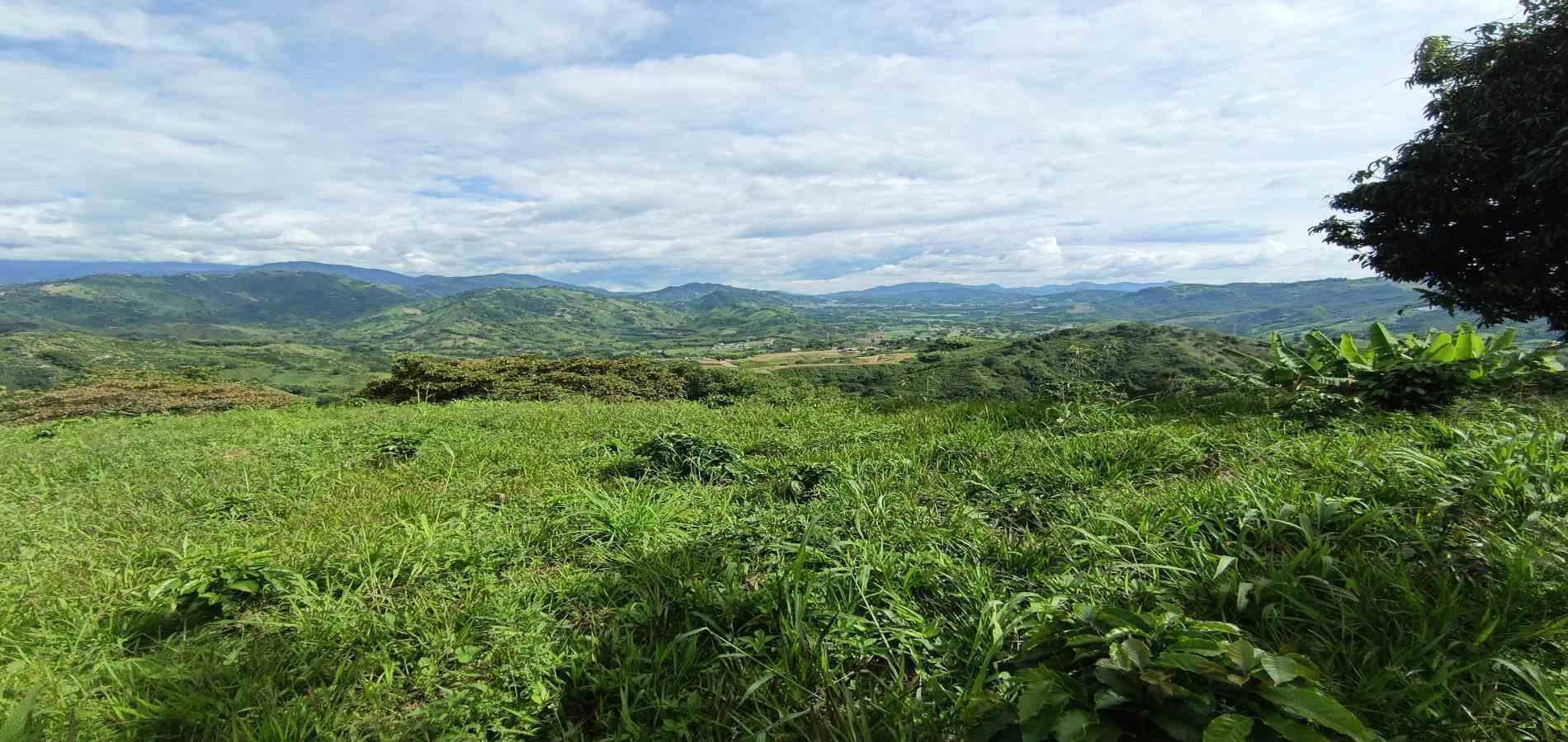 Foto de Lote / terreno para Venta en San peregrino, Manizales - 279068552