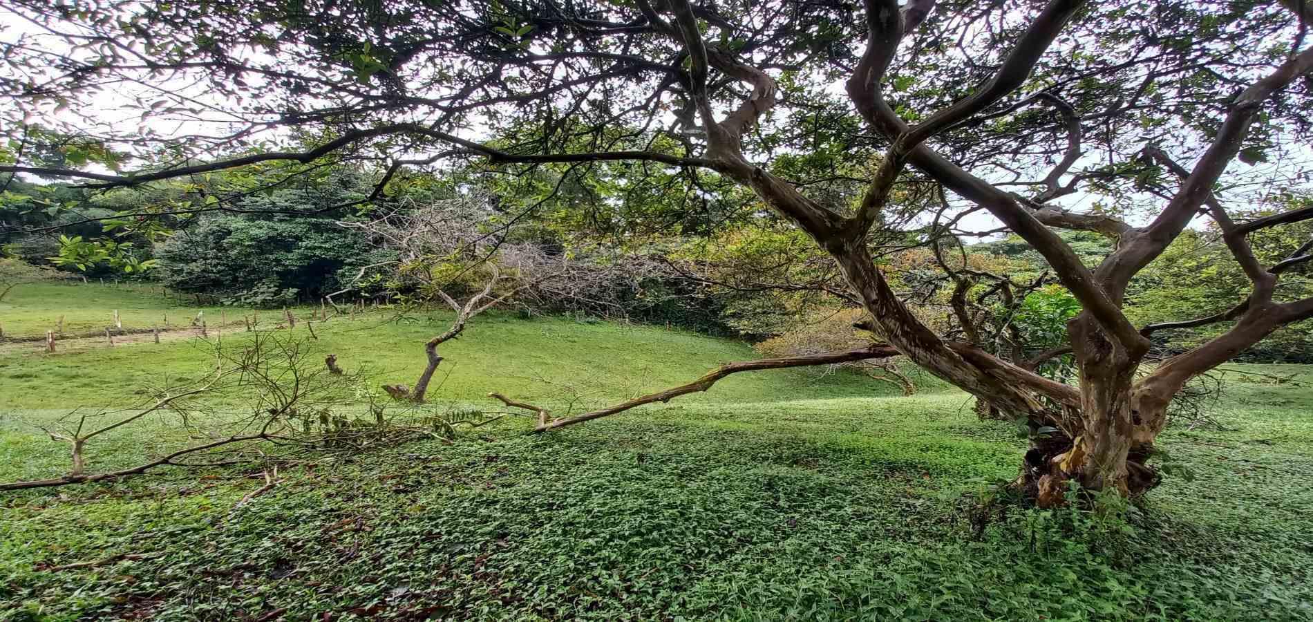 Foto de Lote / terreno para Venta en Veracruz, Santa rosa de cabal - 279066398