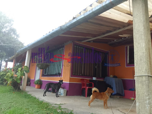 Foto de Finca para Venta en La linda, Manizales - 15895